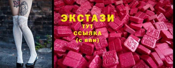 мдпв Рославль
