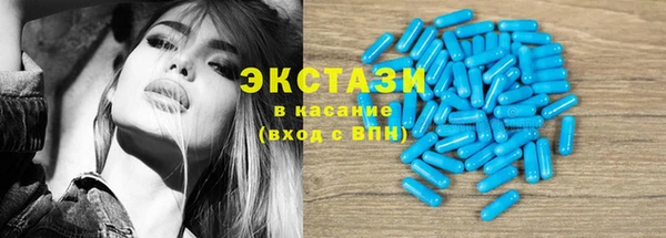 мдпв Рославль