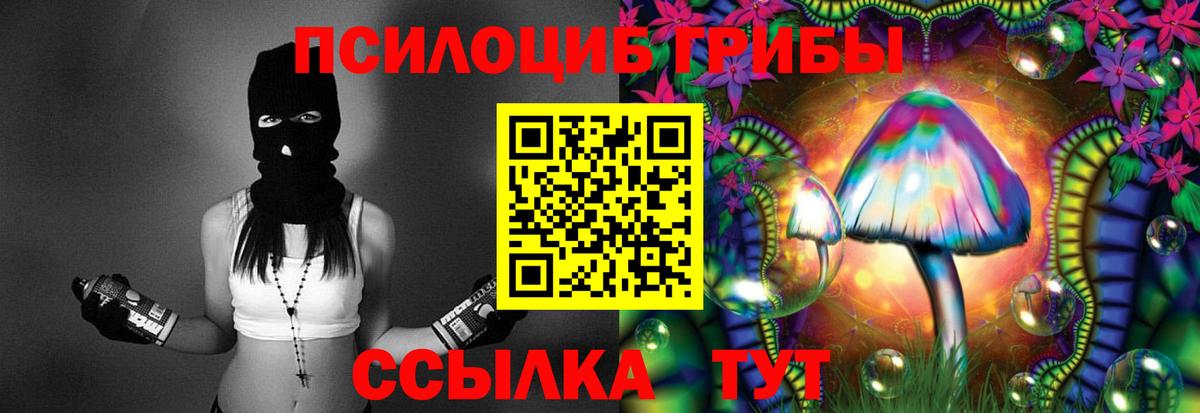 Псилоцибиновые грибы Psilocybe Звенигород